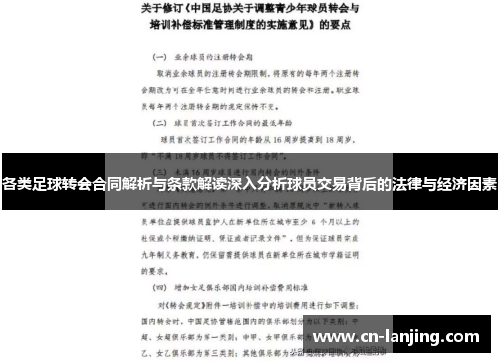 各类足球转会合同解析与条款解读深入分析球员交易背后的法律与经济因素