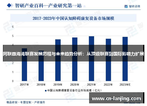 阿联酋海湾联赛发展历程与未来趋势分析：从顶级联赛到国际影响力扩展