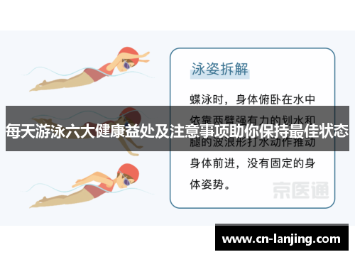 每天游泳六大健康益处及注意事项助你保持最佳状态