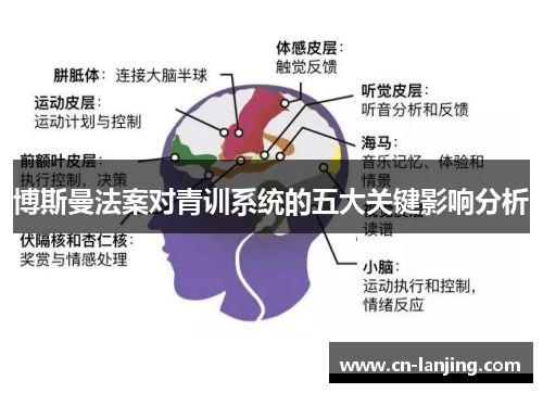 博斯曼法案对青训系统的五大关键影响分析