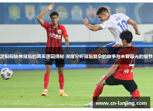 武桐桐缺席背后的真实原因揭秘 深度分析背后复杂的故事与未曾曝光的细节